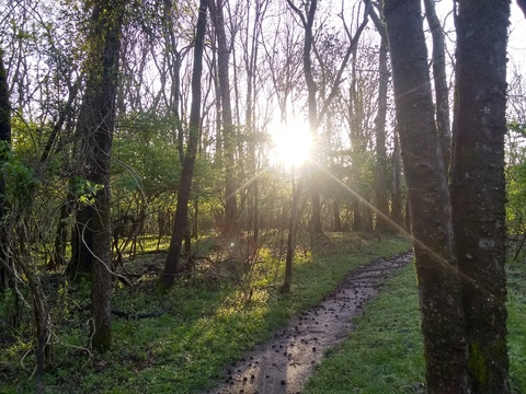 ashlynnmarie photo 1